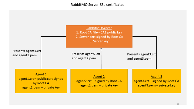 ../../_images/rmq_server_ssl_certs.png